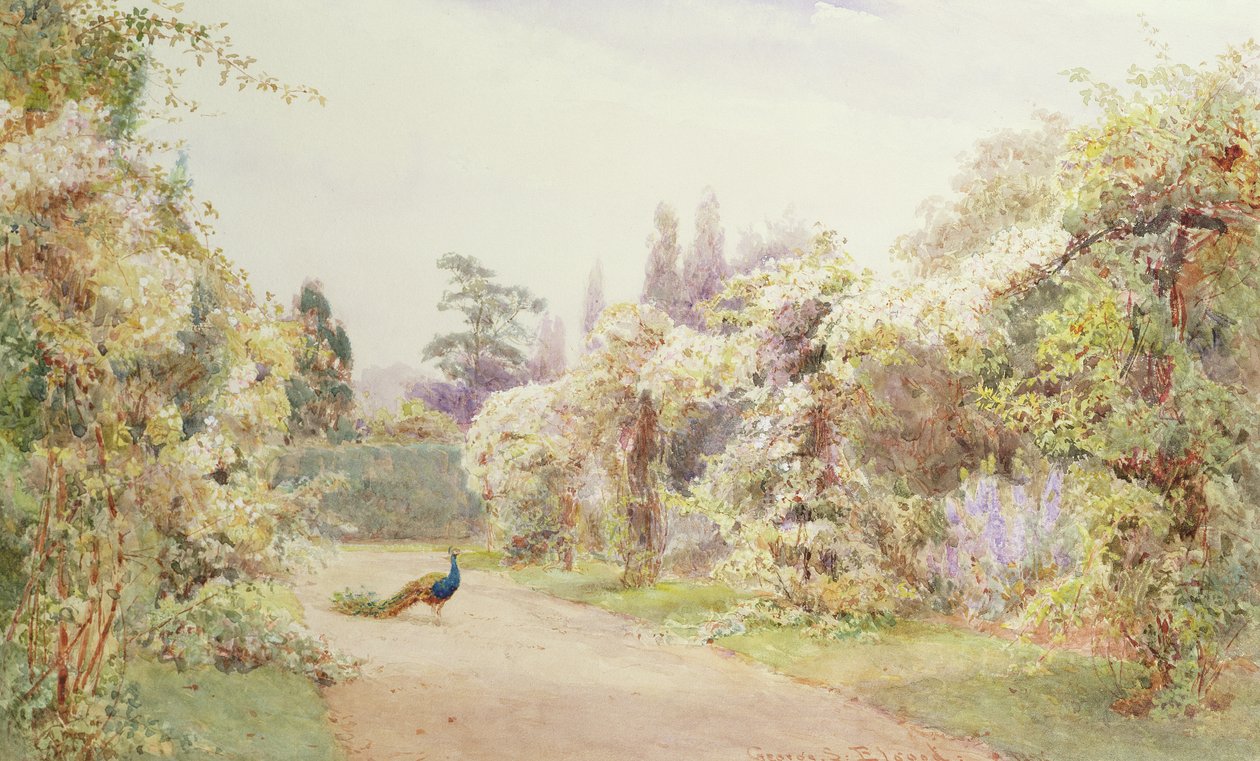 Giardino estivo con un pavone da George Samuel Elgood