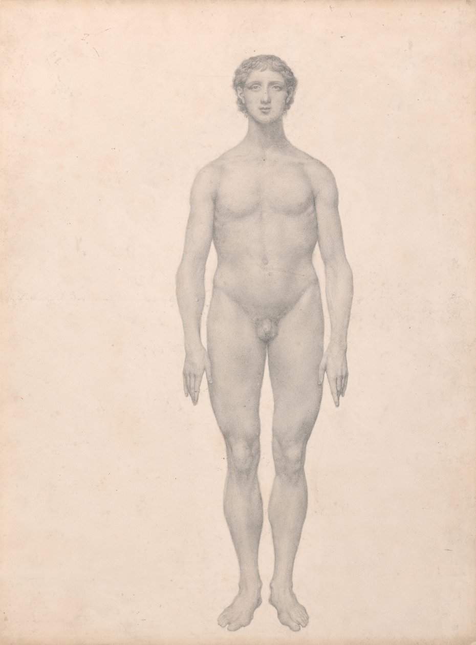 Esposizione anatomica comparativa della struttura del corpo umano con quella di una tigre e un co... da George Stubbs