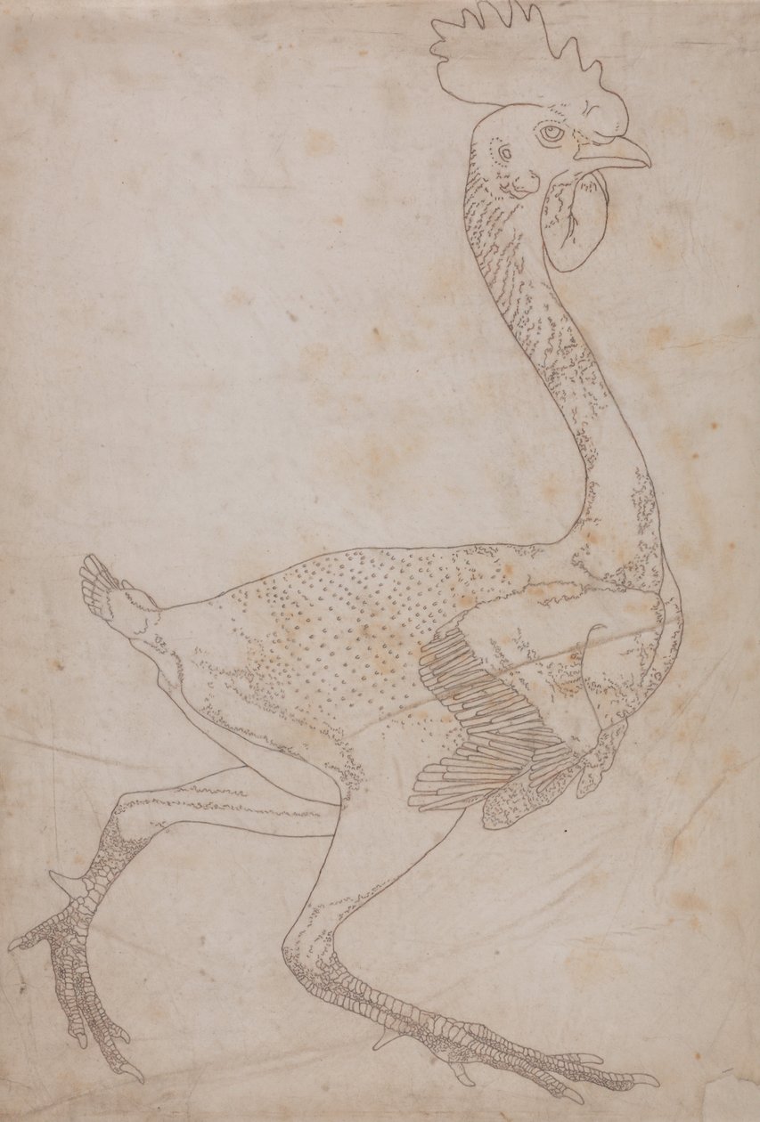 Esposizione anatomica comparativa della struttura del corpo umano con quella di una tigre e di un co... da George Stubbs