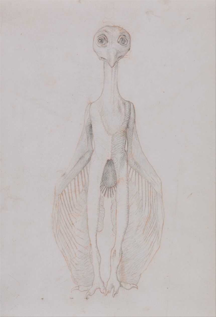 Esposizione Anatomica Comparativa della Struttura del Corpo Umano con quella di una Tigre e di un Co... da George Stubbs
