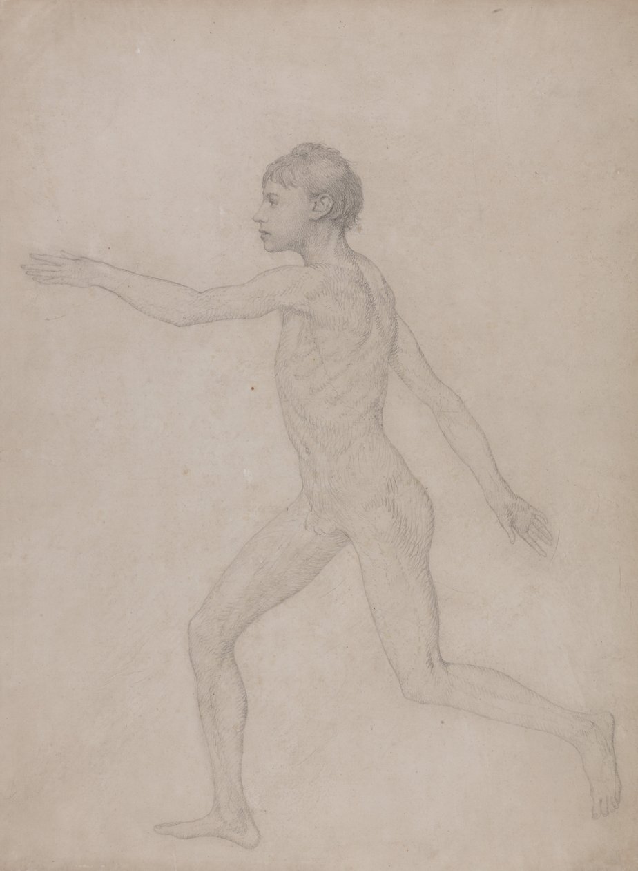 Esposizione anatomica comparativa della struttura del corpo umano con quella di una tigre e di un co... da George Stubbs