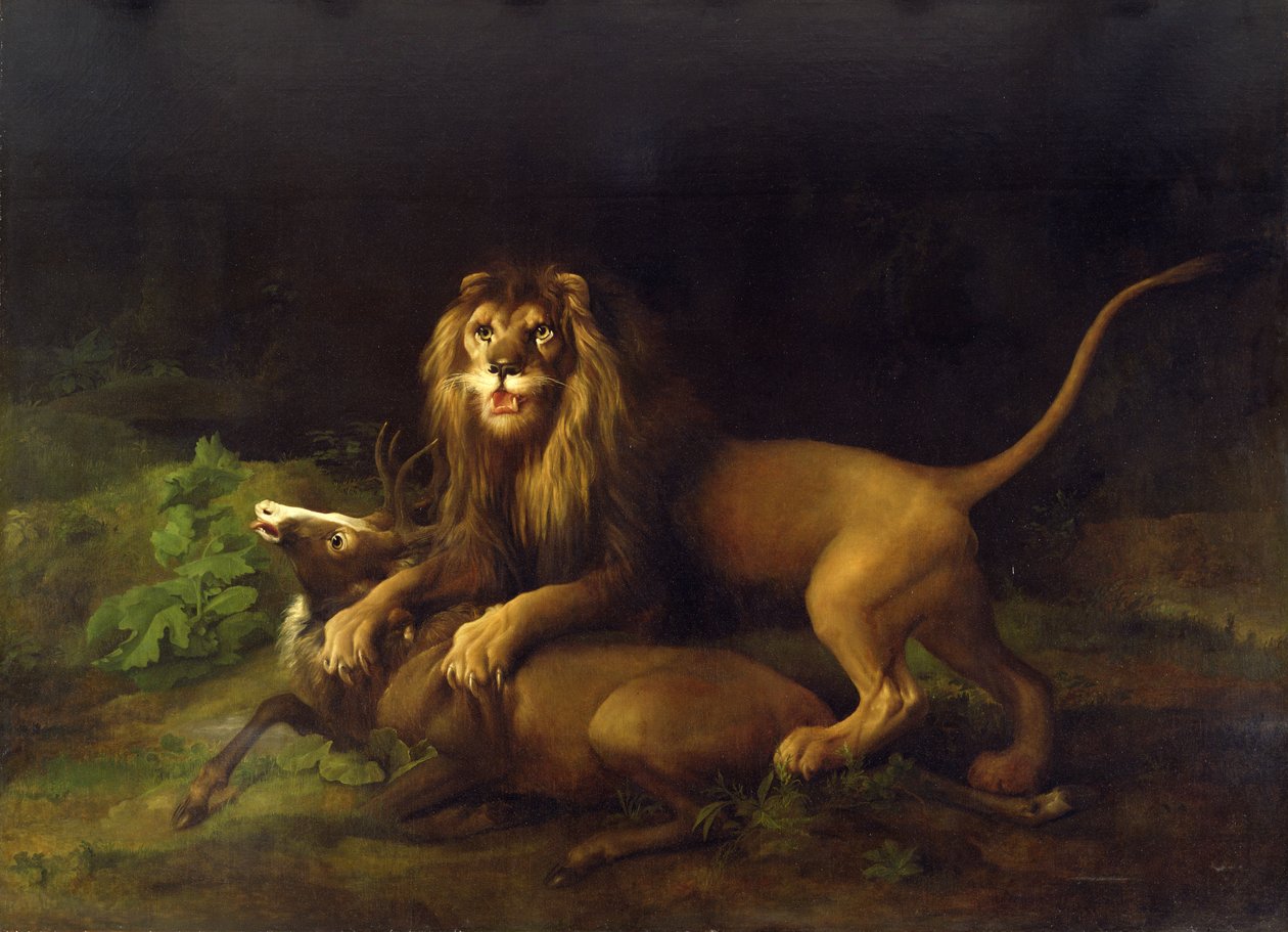 Un leone che attacca un cervo, c.1765 da George Stubbs