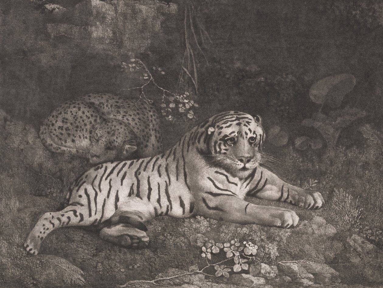 Una tigre e un leopardo addormentato da George Stubbs