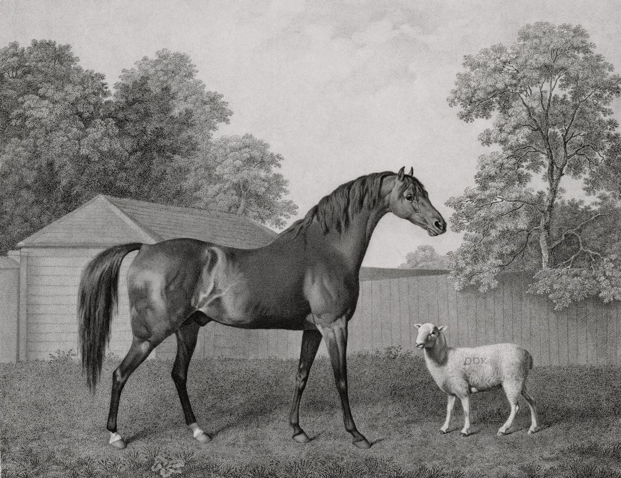 Dungannon, inciso da George Townley Stubbs (1756-1815) pub. 1794 da George Stubbs