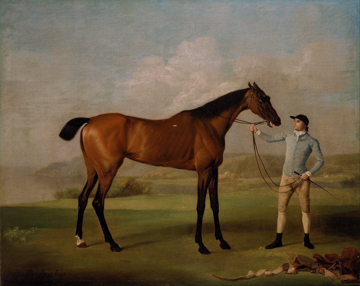 Molly Long-legs con il suo fantino da George Stubbs