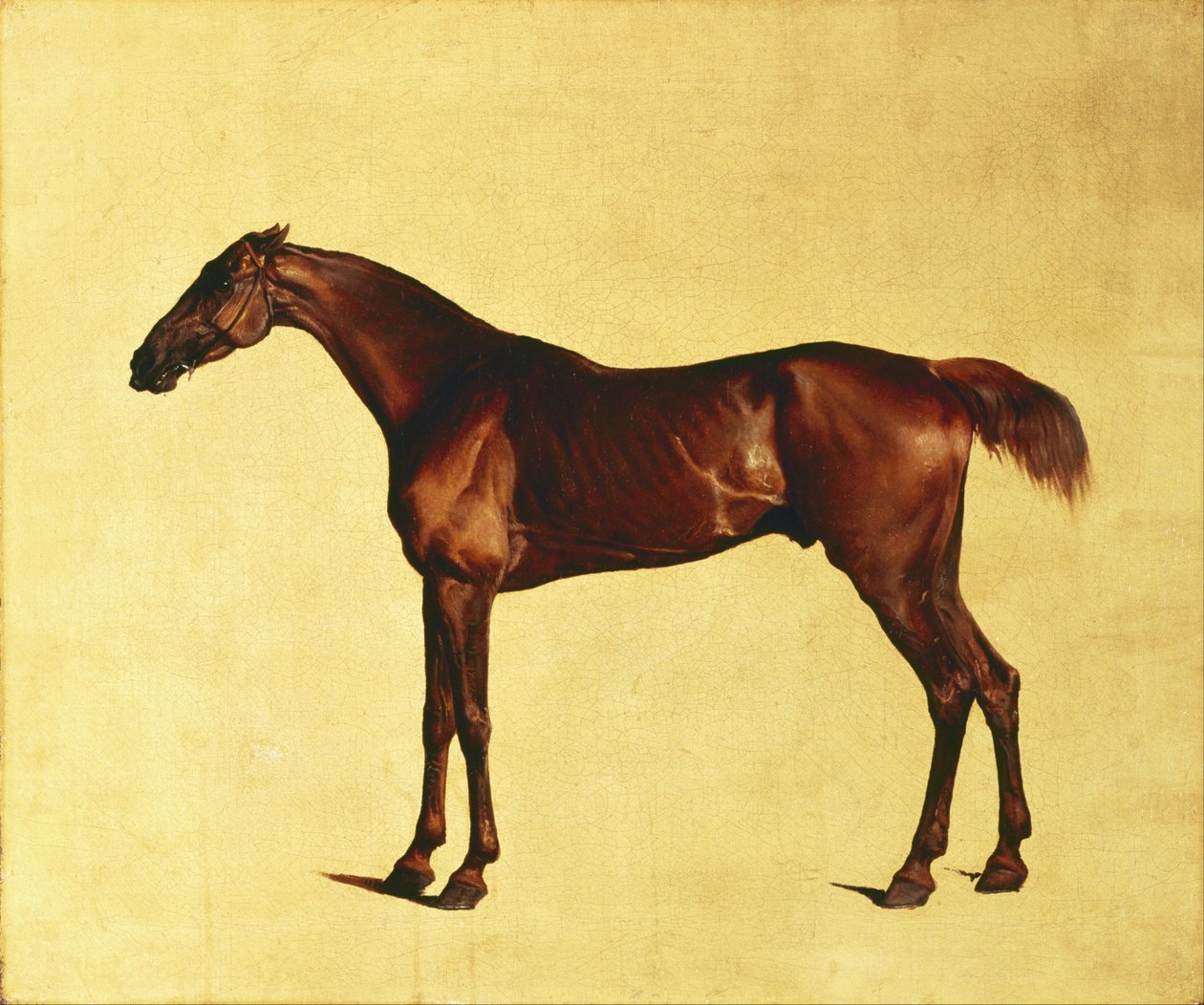 Pangloss da George Stubbs