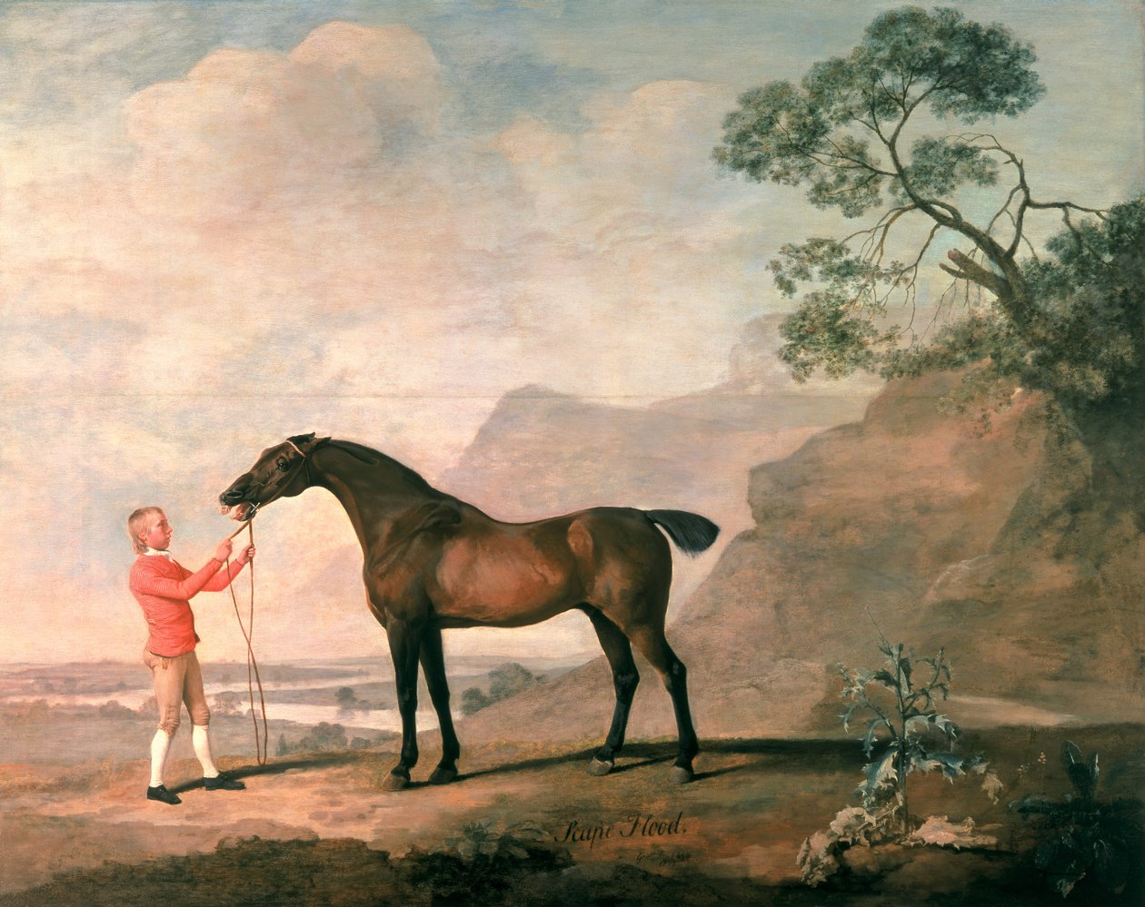 Alluvione da George Stubbs