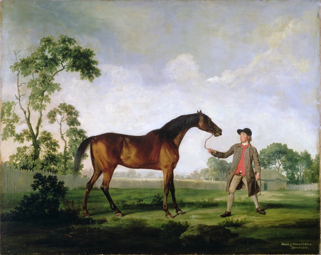 Lo stallone baio del Duca di Ancaster Spectator, tenuto da un groom, c.1762-5 da George Stubbs