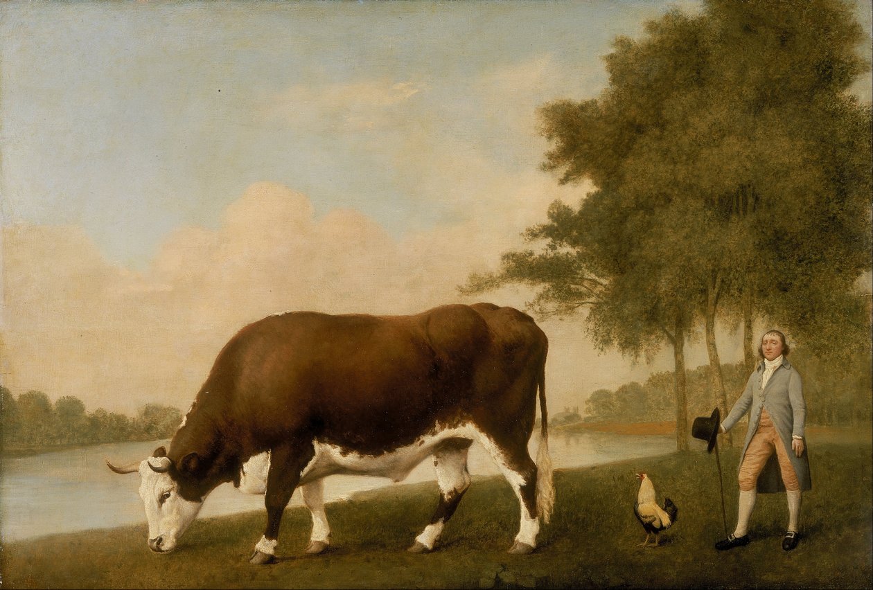 Il bue del Lincolnshire da George Stubbs