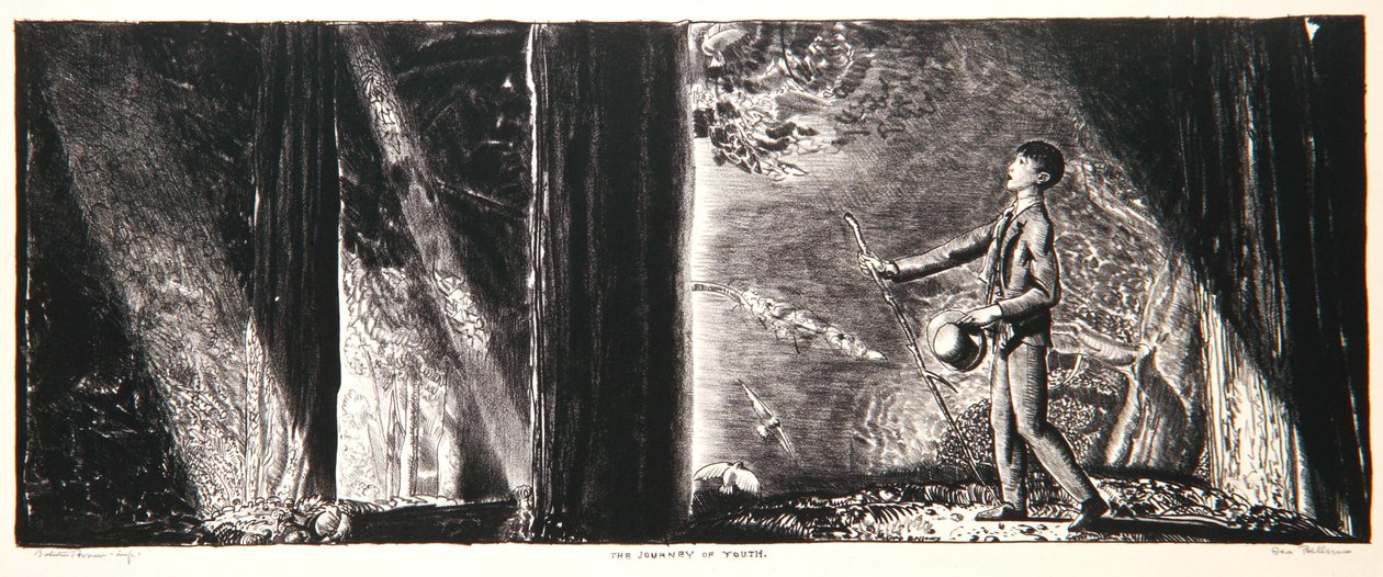 Il viaggio della giovinezza, 1923-24 da George Wesley Bellows