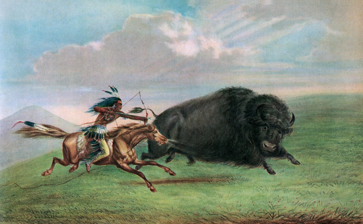 Stampa dopo Buffalo Hunt di George Catlin, c.1920 da George (after) Catlin