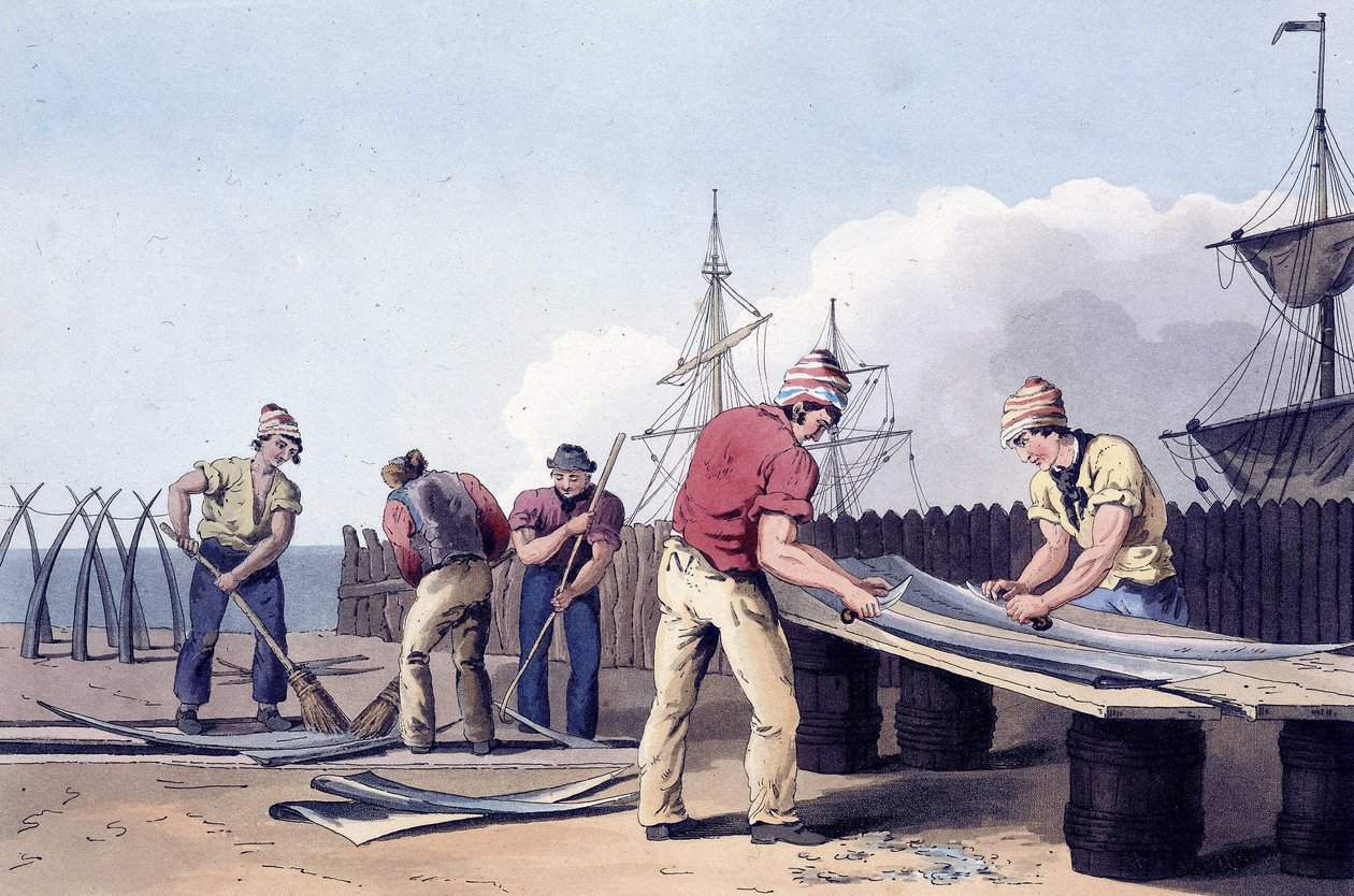Pescatori che raschiano e puliscono i resti delle balene da "Il costume dello Yorkshire", inciso da Robert Havell (1769-1832)1814 da George (after) Walker