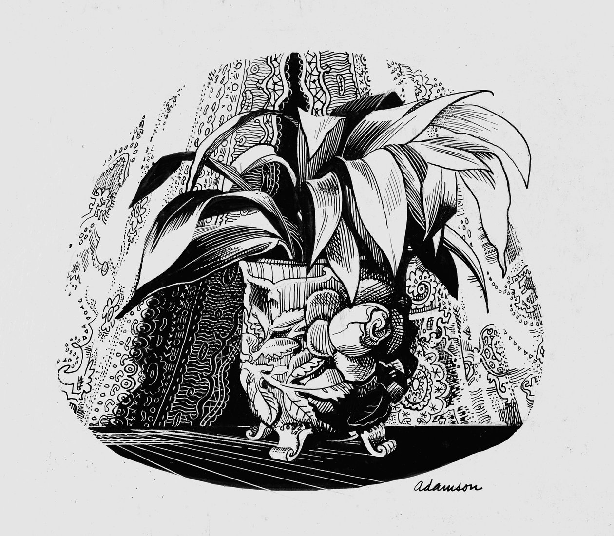 Aspidistra in una Ciotola, Anni 