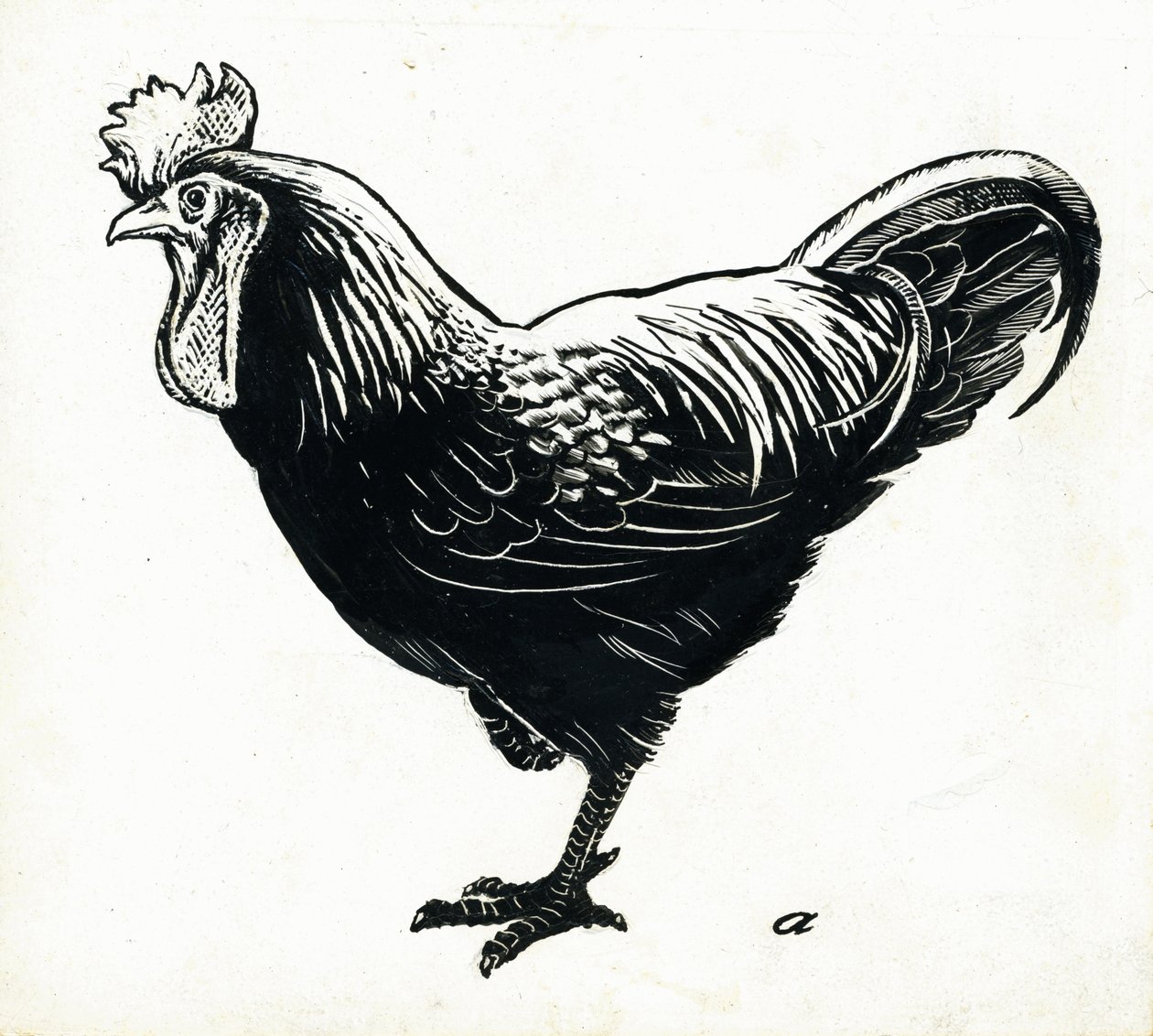 La Gallina, Anni 