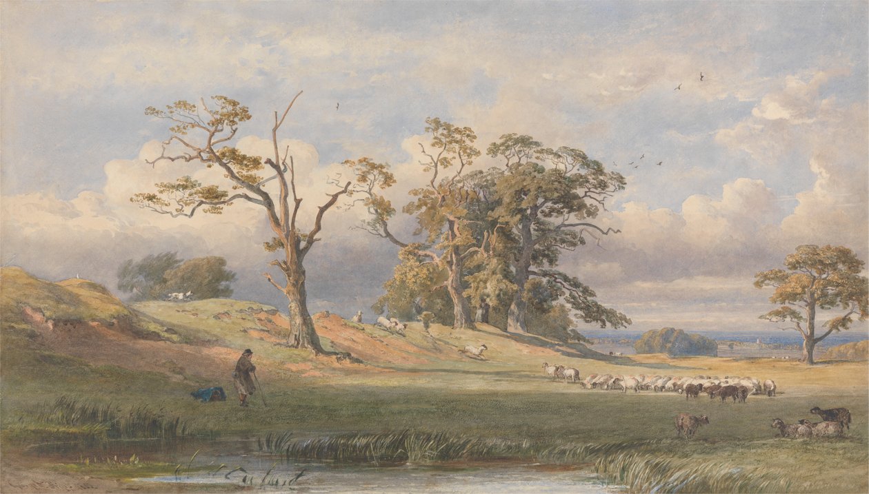 Vecchio campo britannico nel parco di Bulstrode da George Arthur Fripp