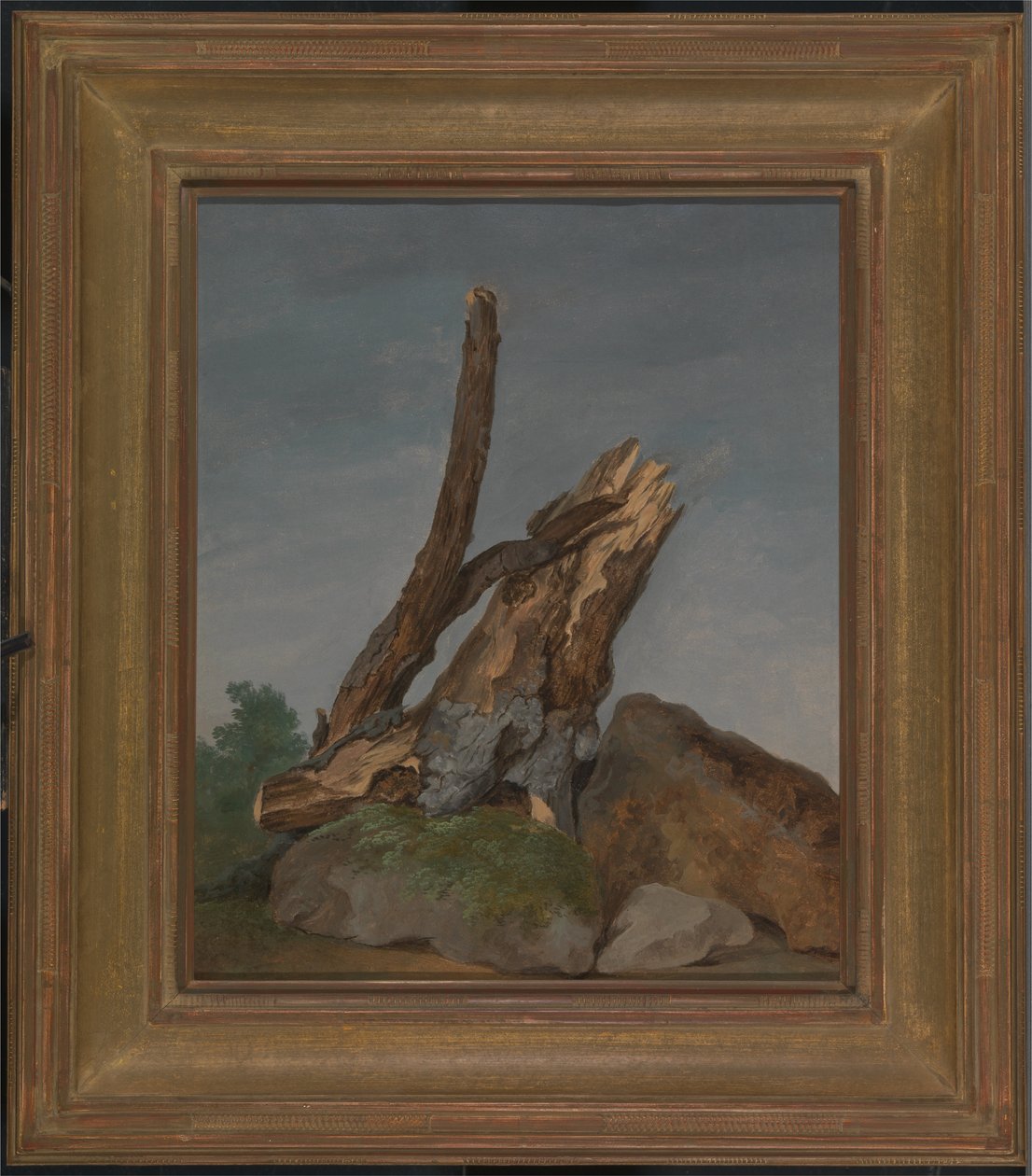 Studio di rocce e rami da George Augustus Wallis