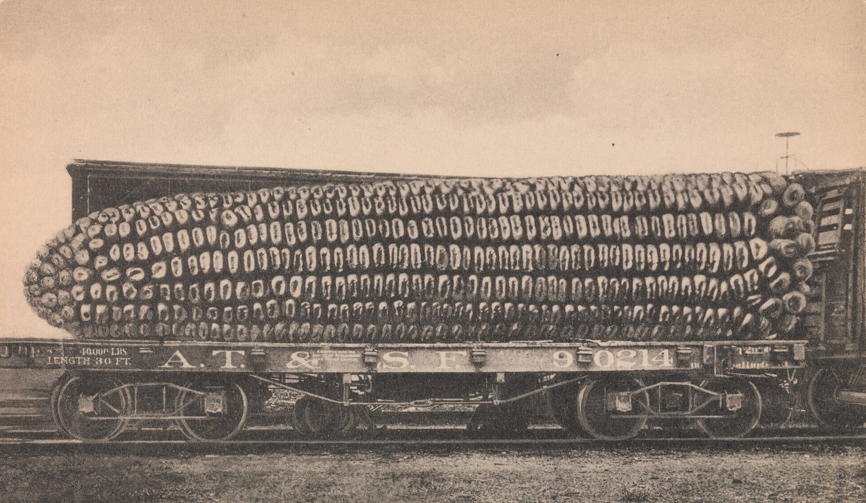 Un carico di mais del Texas, ca. 1910 da George B. Cornish