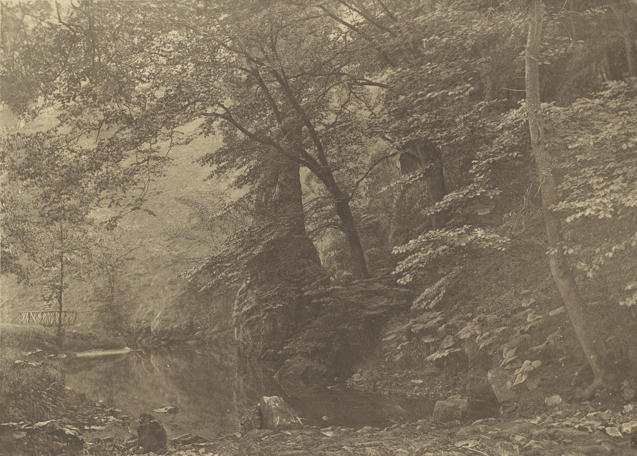 Piscina di Pike, 1880, stampato 1888 da George Bankart