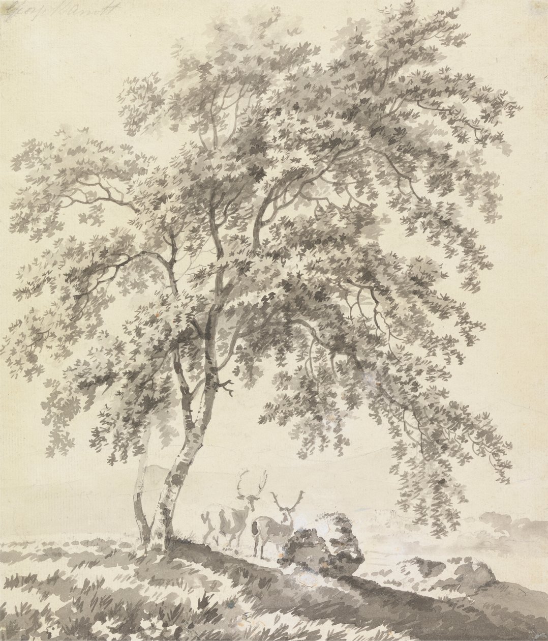 Studio di Alberi con Cervi (Paesaggio) da George Barret