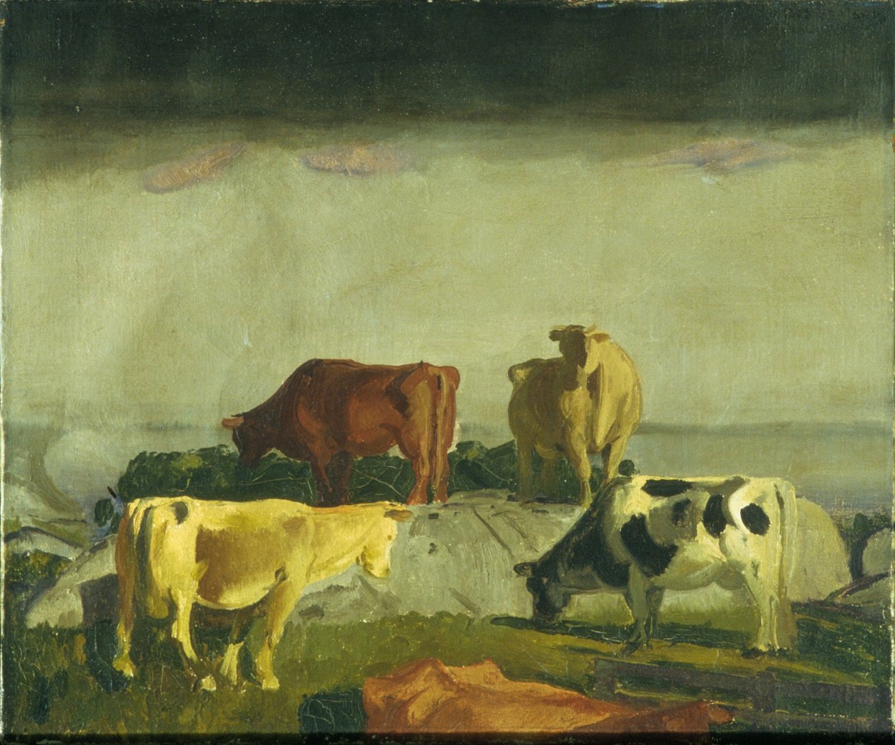 La vite rossa, Isola di Matinicus, Maine da George Bellows