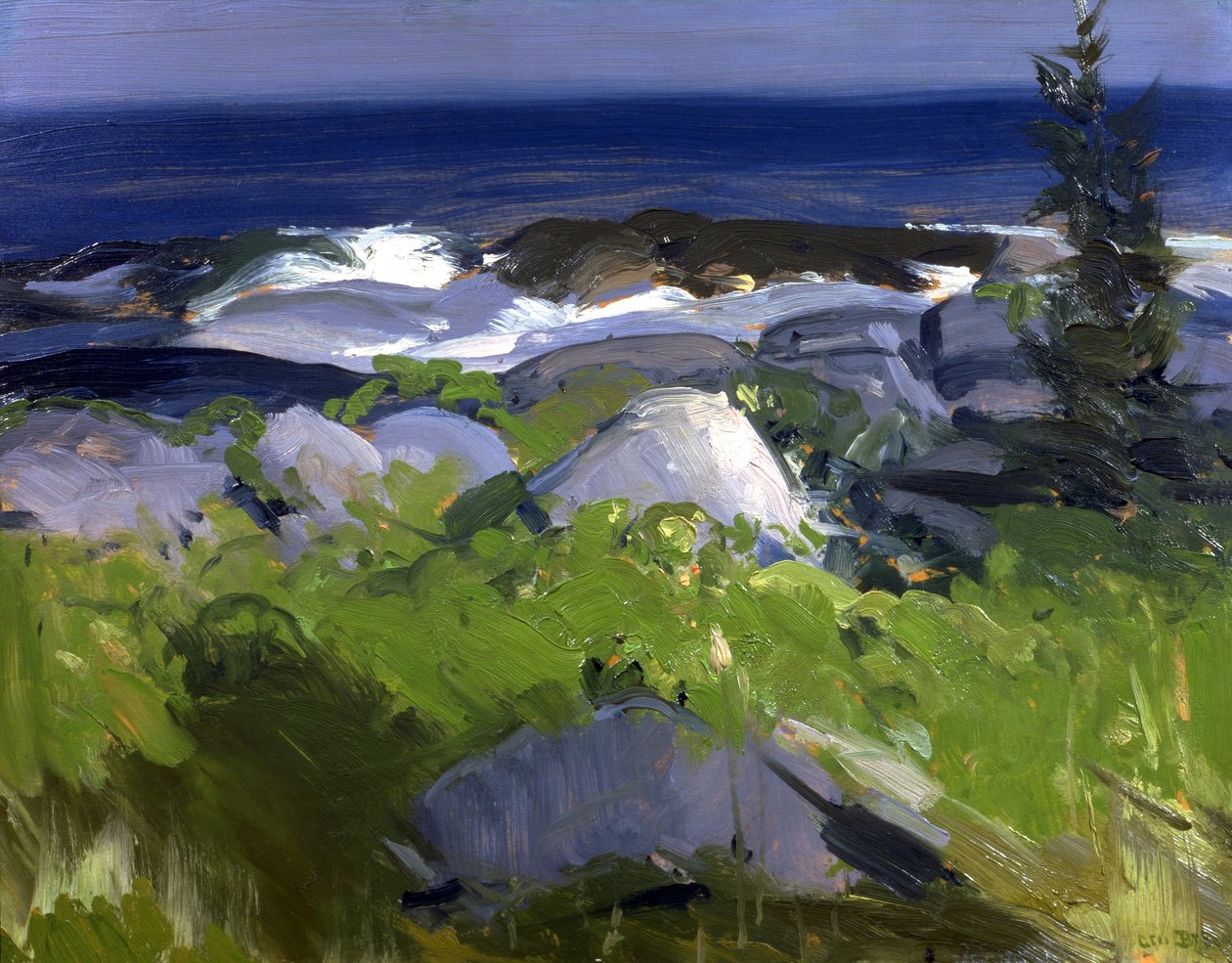 Costa ricoperta di viti - Isola di Monhegan da George Bellows