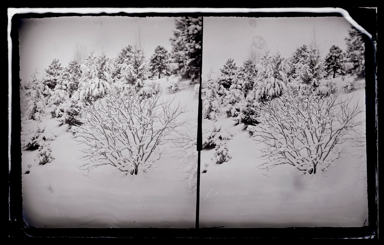 Prospect Park, Brooklyn, c.1872-87 da George Bradford Brainerd