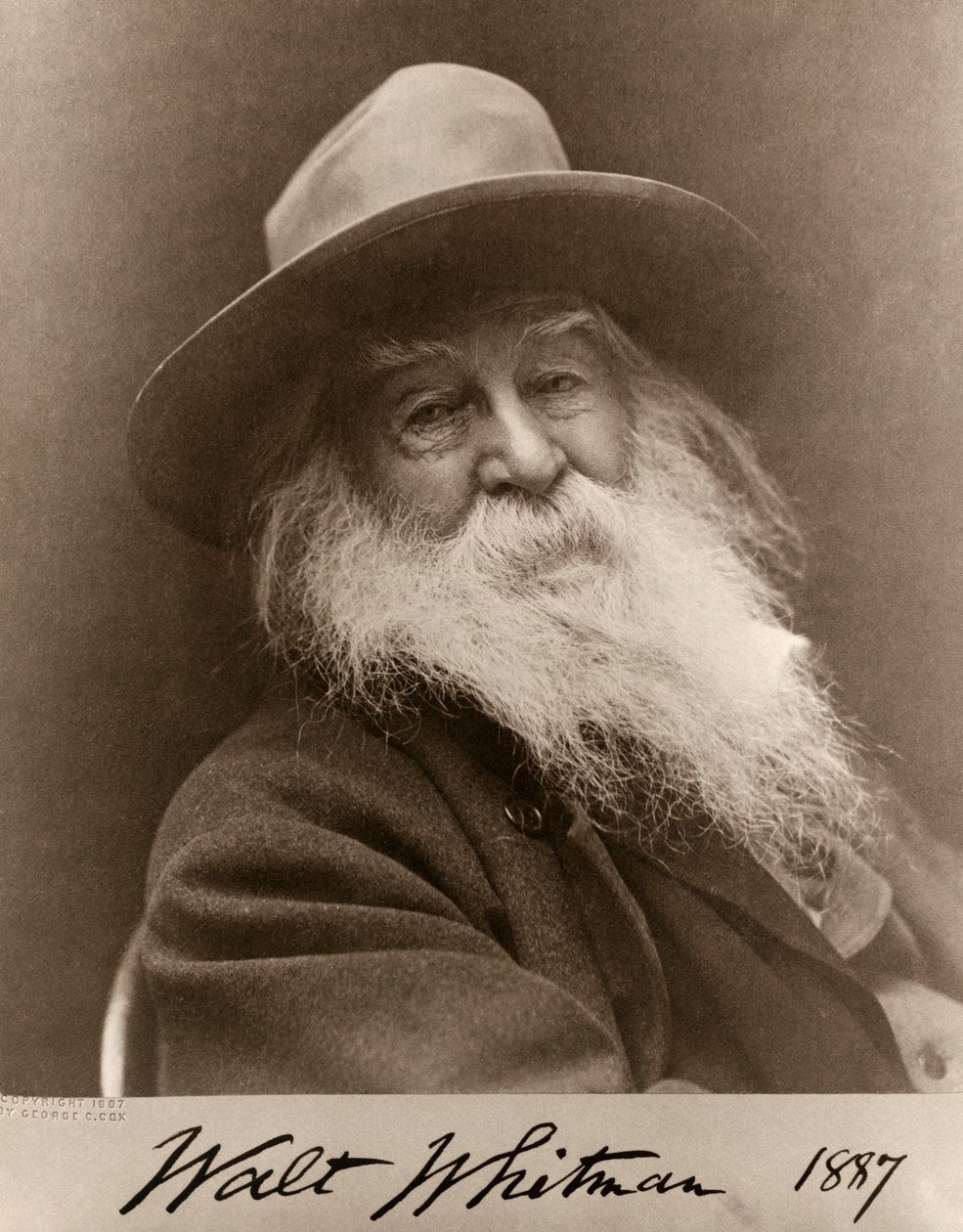 Ritratto di Walt Whitman nel 1887 da George C. Cox