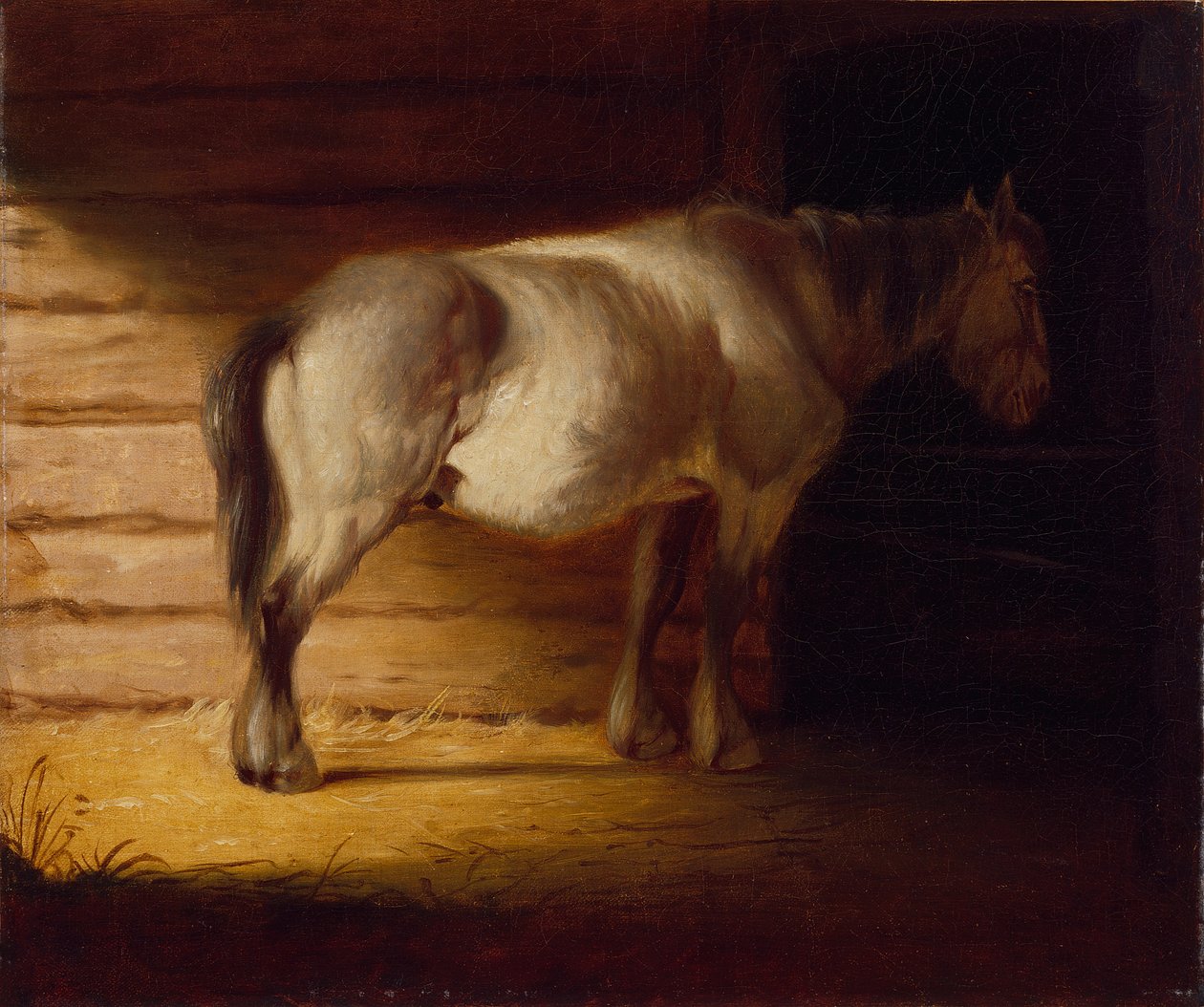 Vecchio cavallo da campo, del 1856 (olio su tela) da George Caleb Bingham
