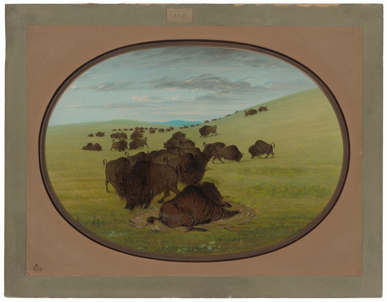 Una pozza di bufalo da George Catlin