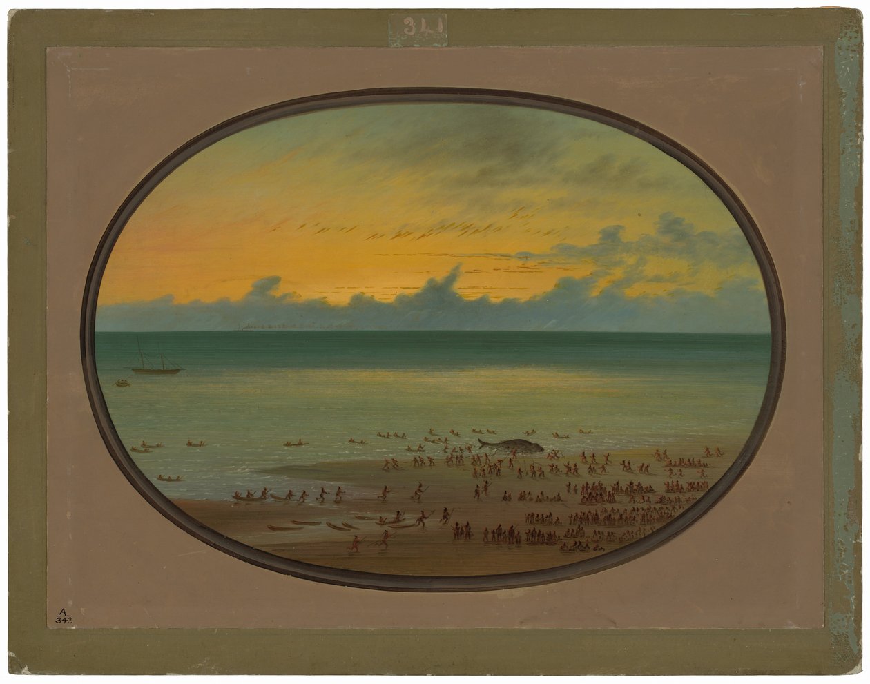 Una balena a terra - Klahoquat da George Catlin