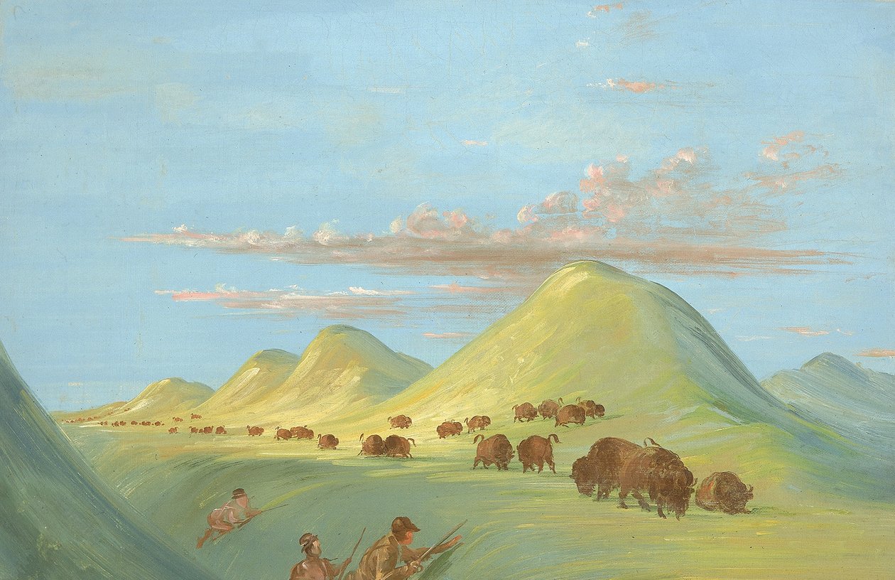 Batiste, Bogard e io ci avviciniamo a Buffalo sul Missouri da George Catlin