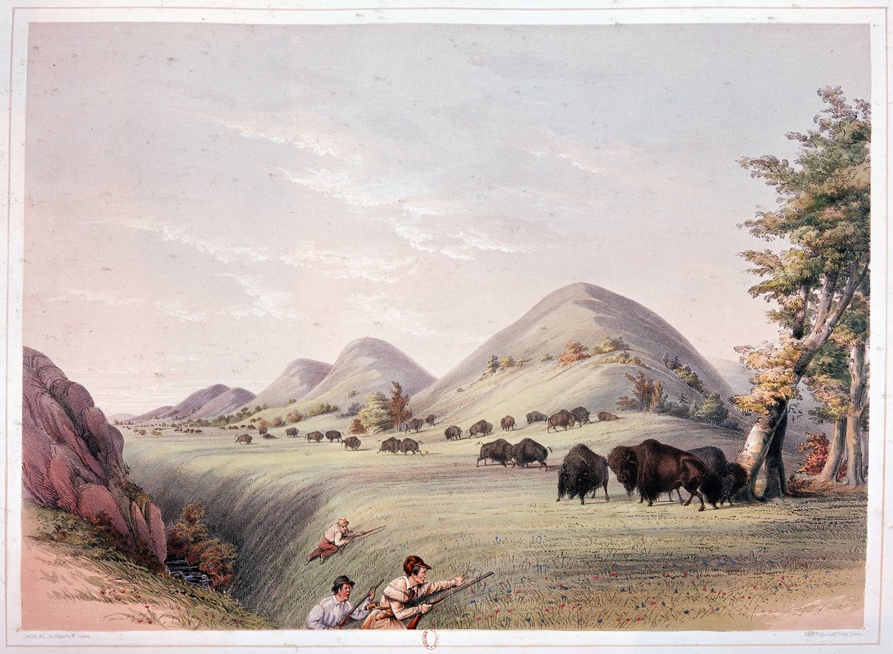 Caccia al Bisonte da George Catlin