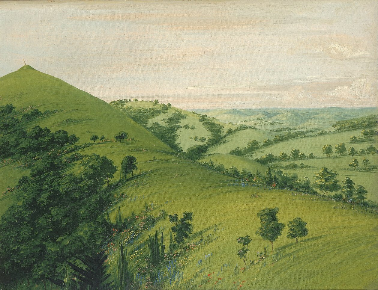 Tomba del merlo, vista posteriore, praterie fiorite da George Catlin