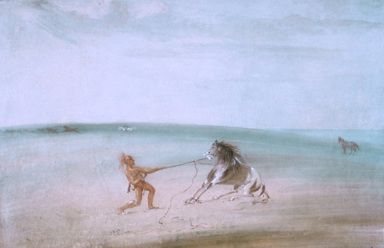 Abbattere il cavallo selvaggio da George Catlin