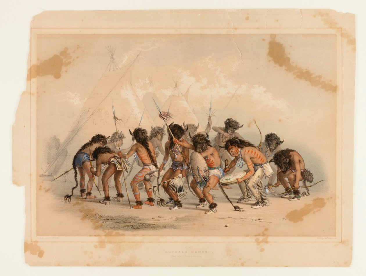 Ballo del bufalo n. 8 da George Catlin