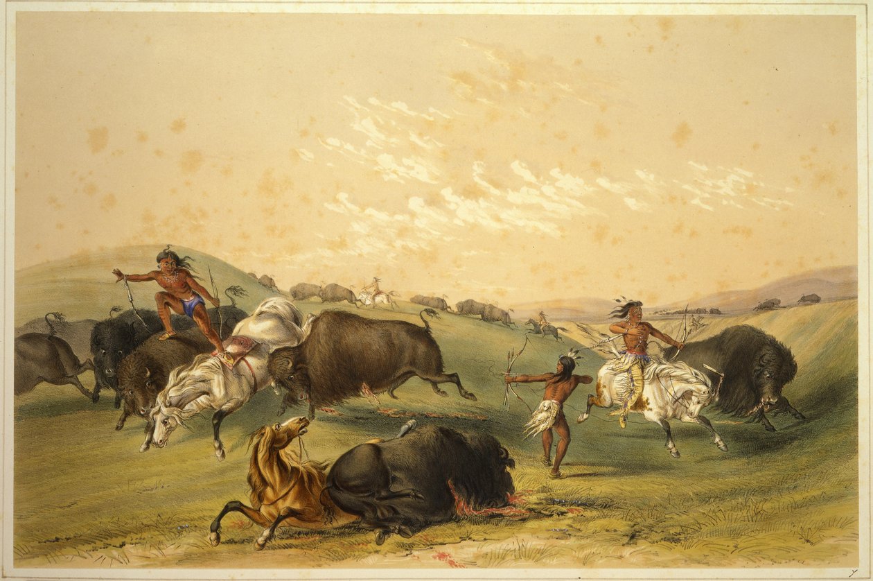 Caccia al bufalo: Un gruppo numeroso da George Catlin