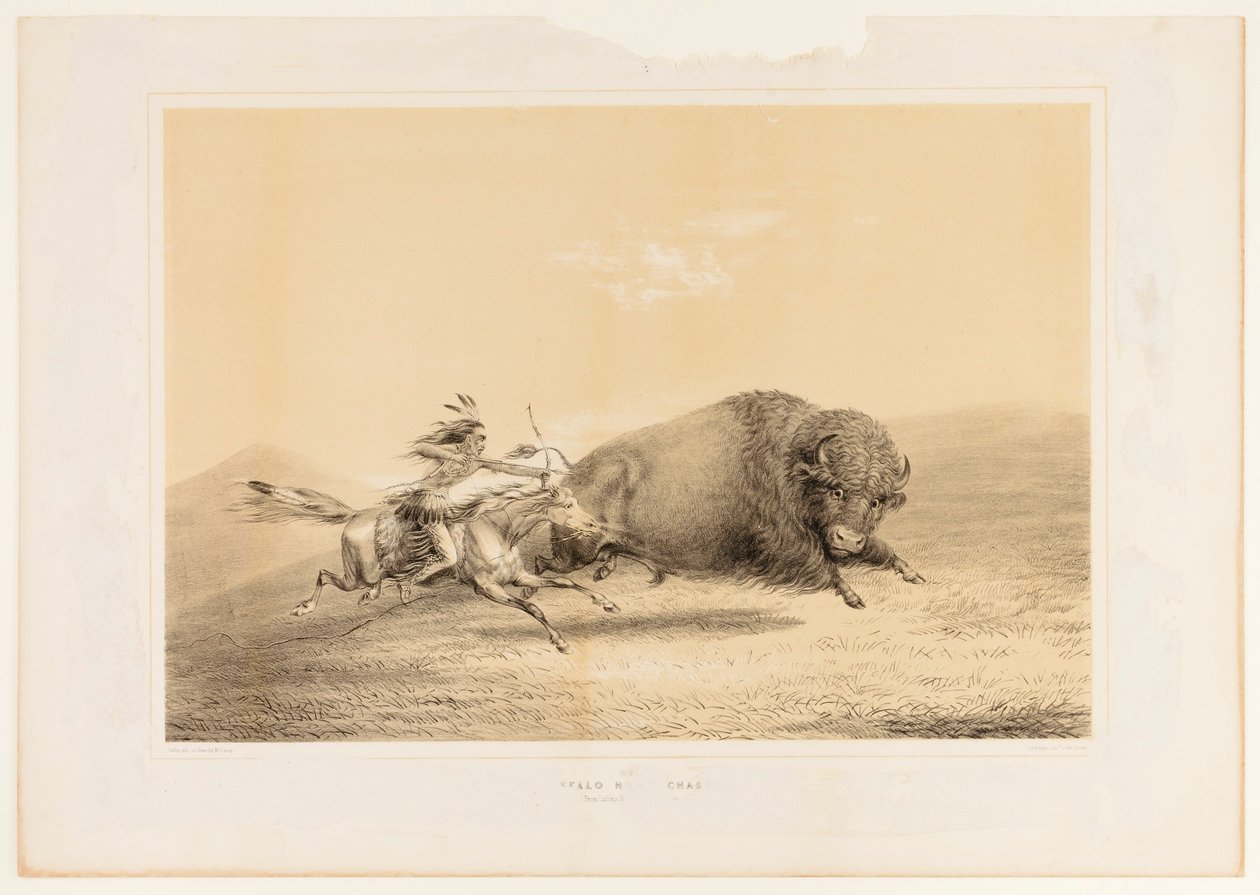 Caccia al bufalo, inseguimento n. 5 da George Catlin