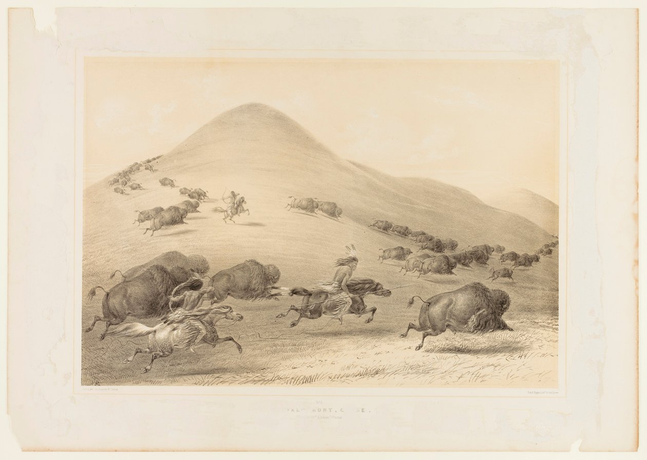 Caccia al bufalo, Chase--no. 6 da George Catlin