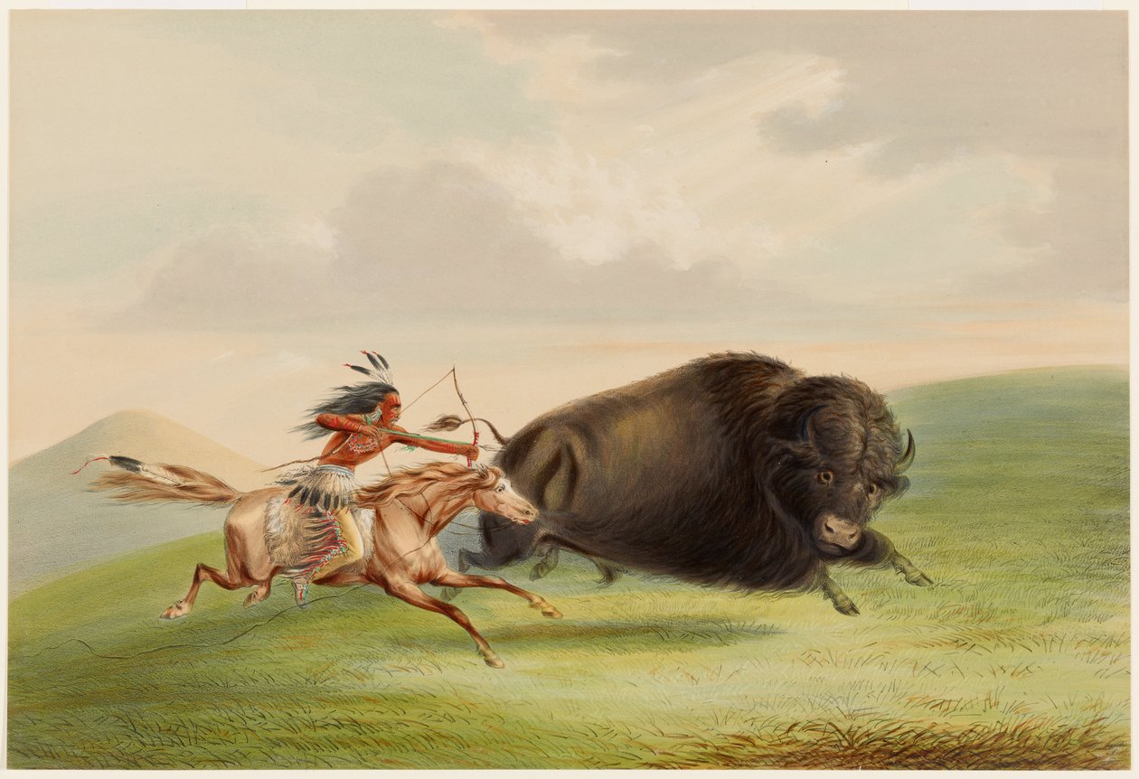Caccia al bufalo, Inseguimento da George Catlin