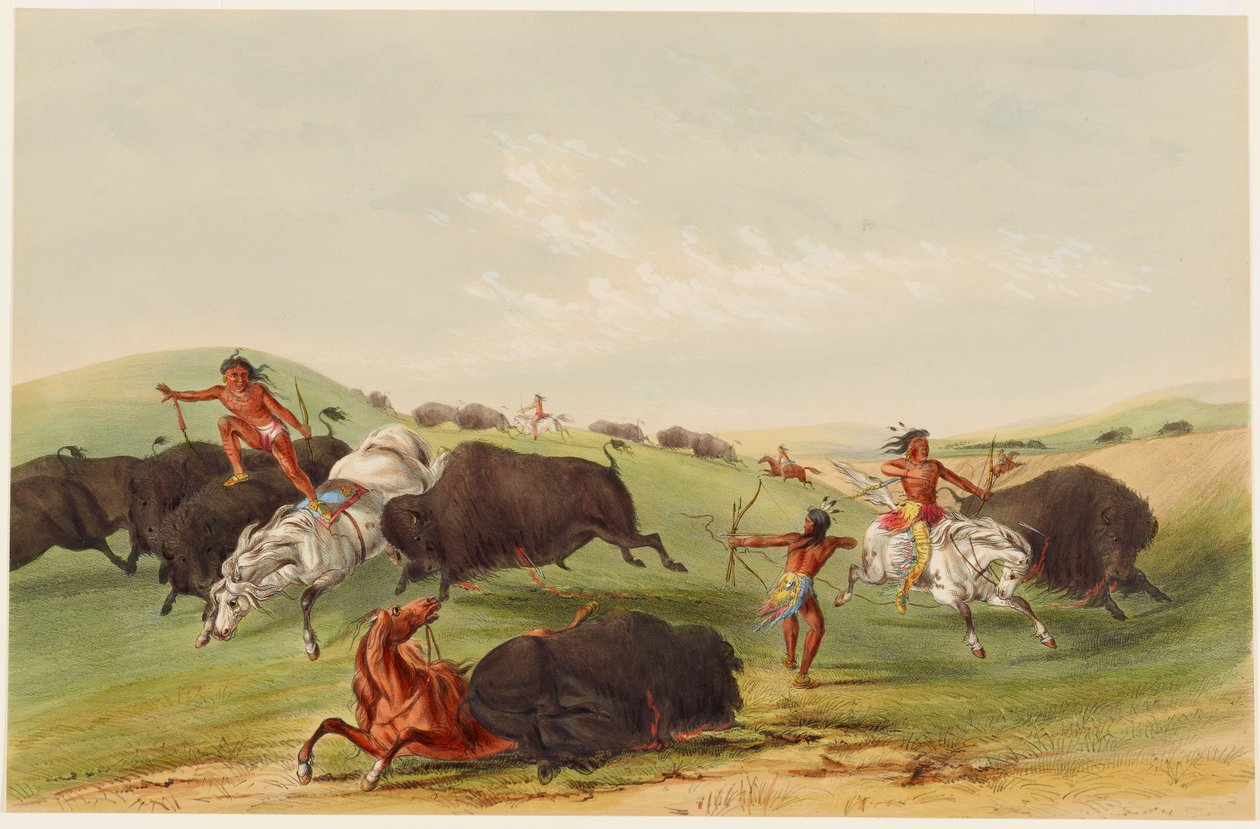 Caccia al bisonte: inseguimento da George Catlin