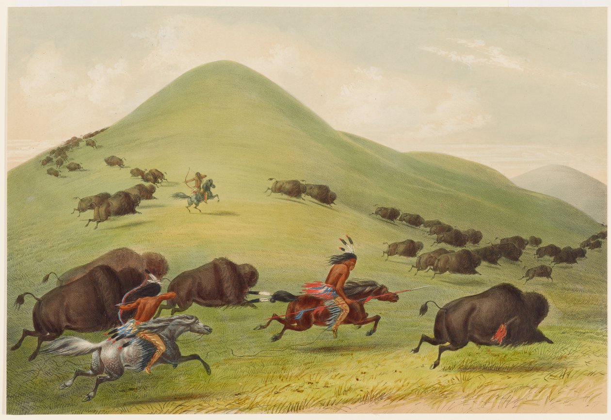 Caccia al bisonte: inseguimento da George Catlin