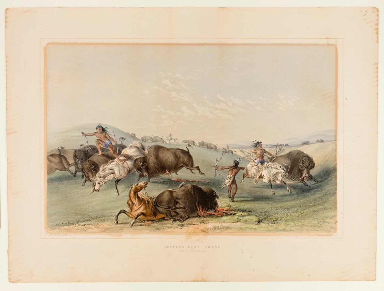 Caccia al bufalo, inseguimento n. 7 da George Catlin