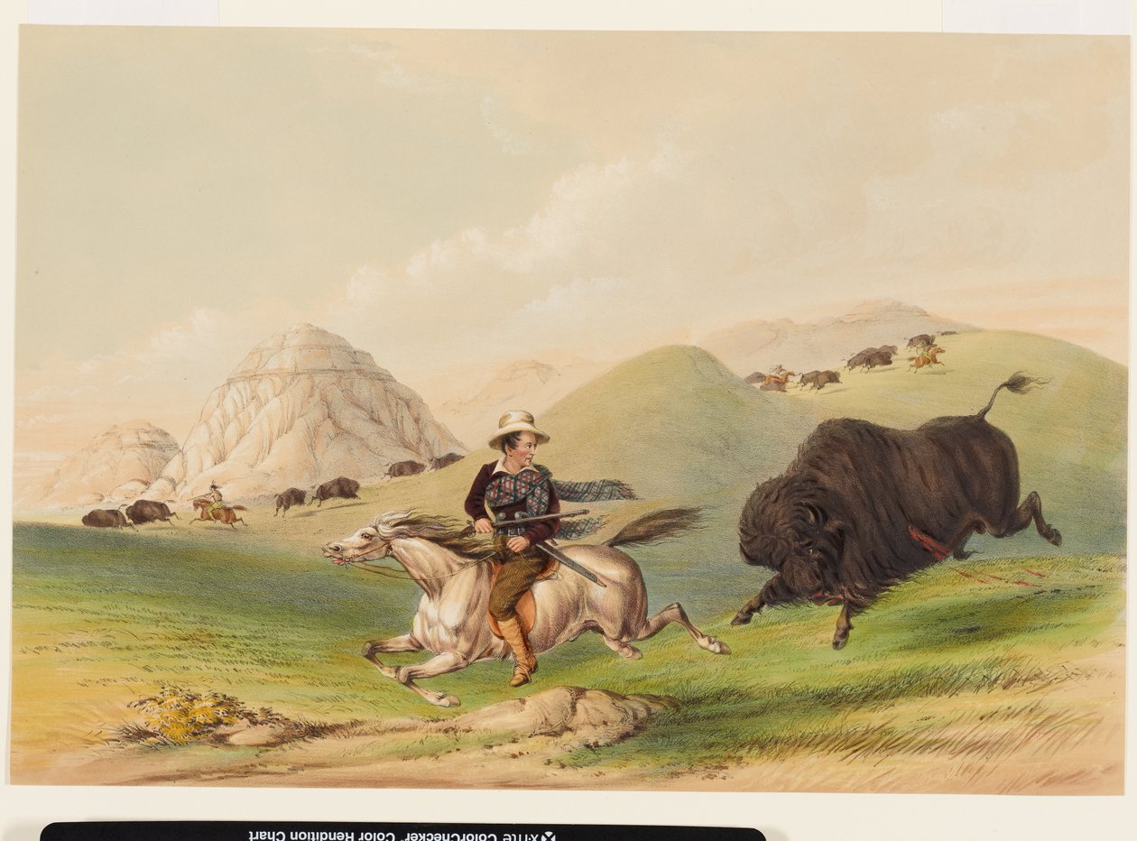 Caccia al bisonte, ricacciandoli indietro da George Catlin