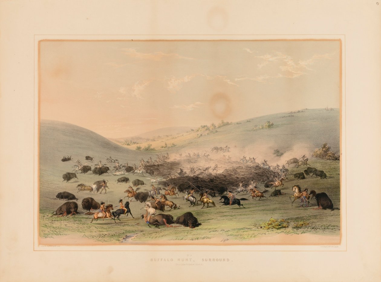 Caccia al bufalo Surround - n. 9 da George Catlin