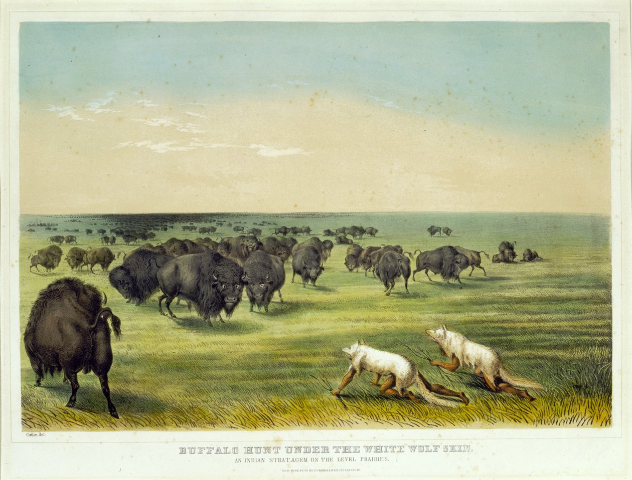 Caccia al bisonte sotto la pelle del lupo bianco da George Catlin