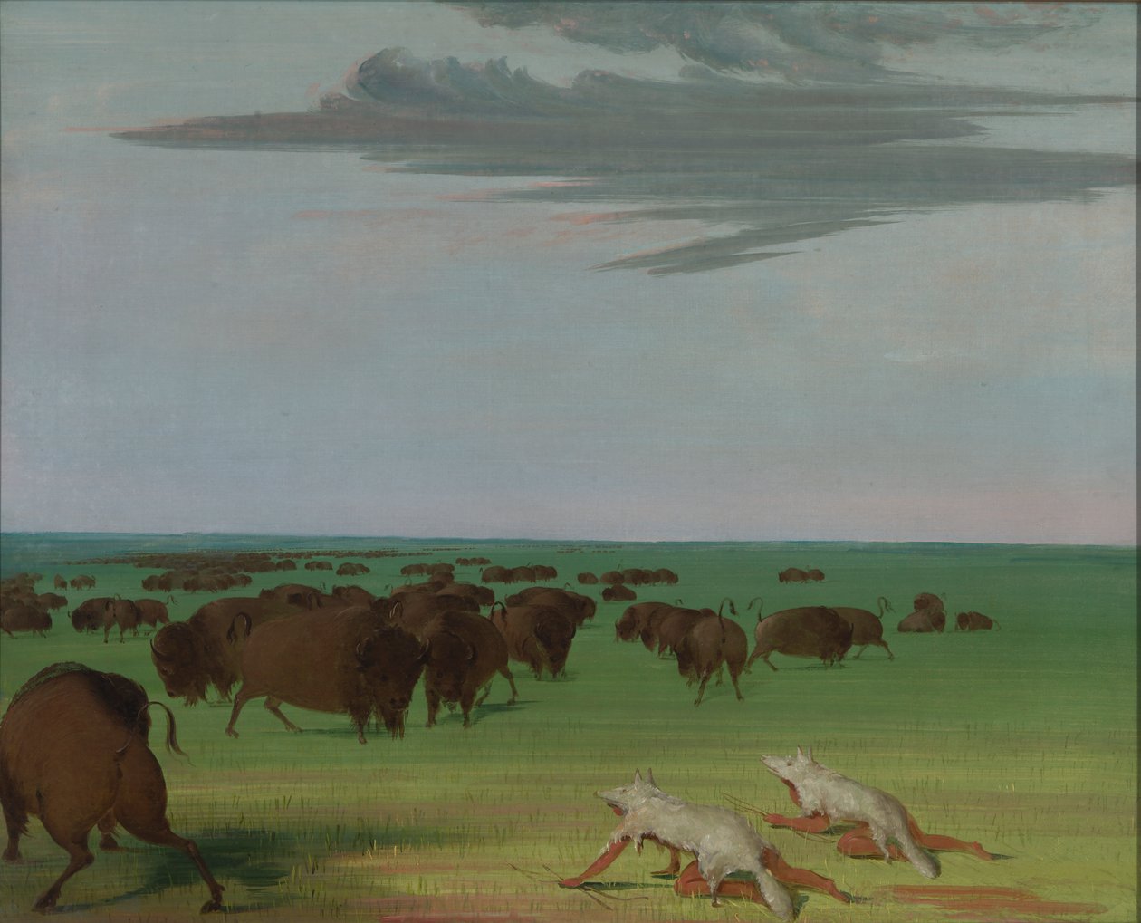 Caccia al bufalo sotto la maschera di pelle di lupo, 1832-1833 da George Catlin