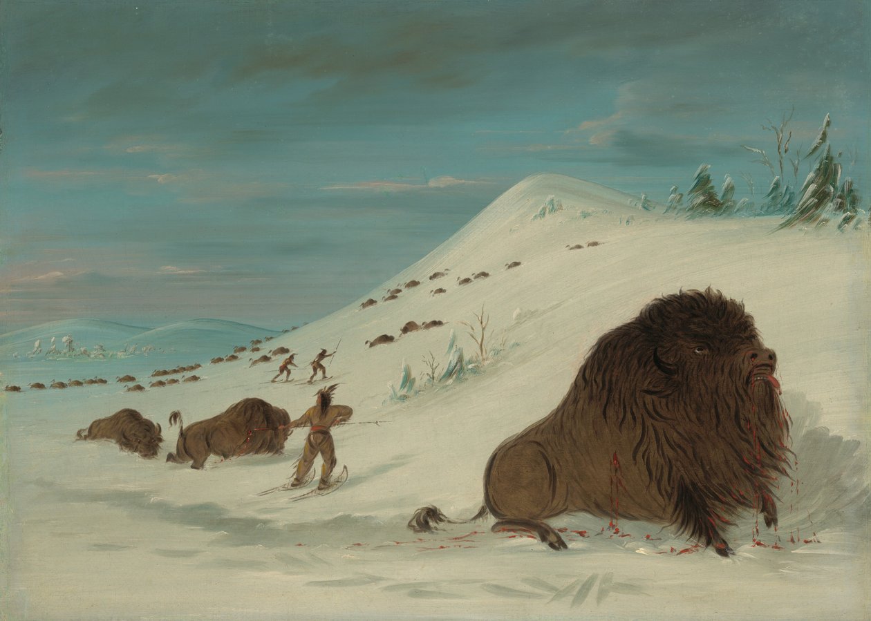 Caccia al bufalo nelle nevi - Sioux da George Catlin