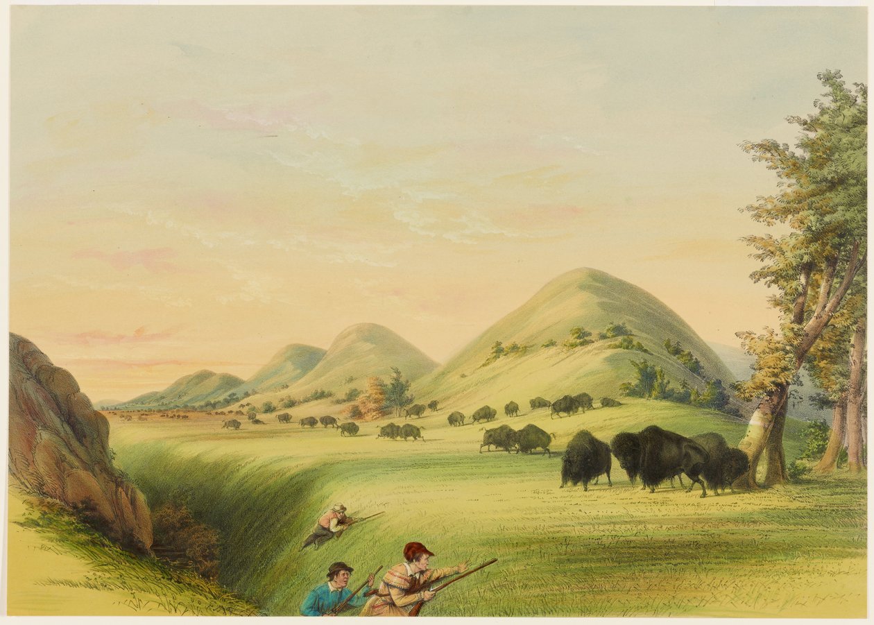 Caccia al bisonte, avvicinamento in un burrone da George Catlin