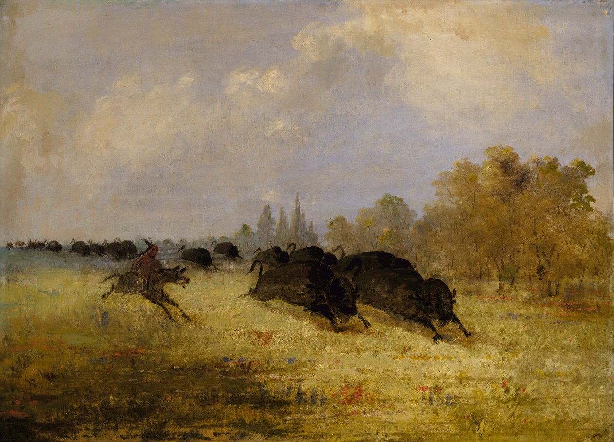 Indiani Caddo a caccia di bufali, Cross Timbers, Texas da George Catlin