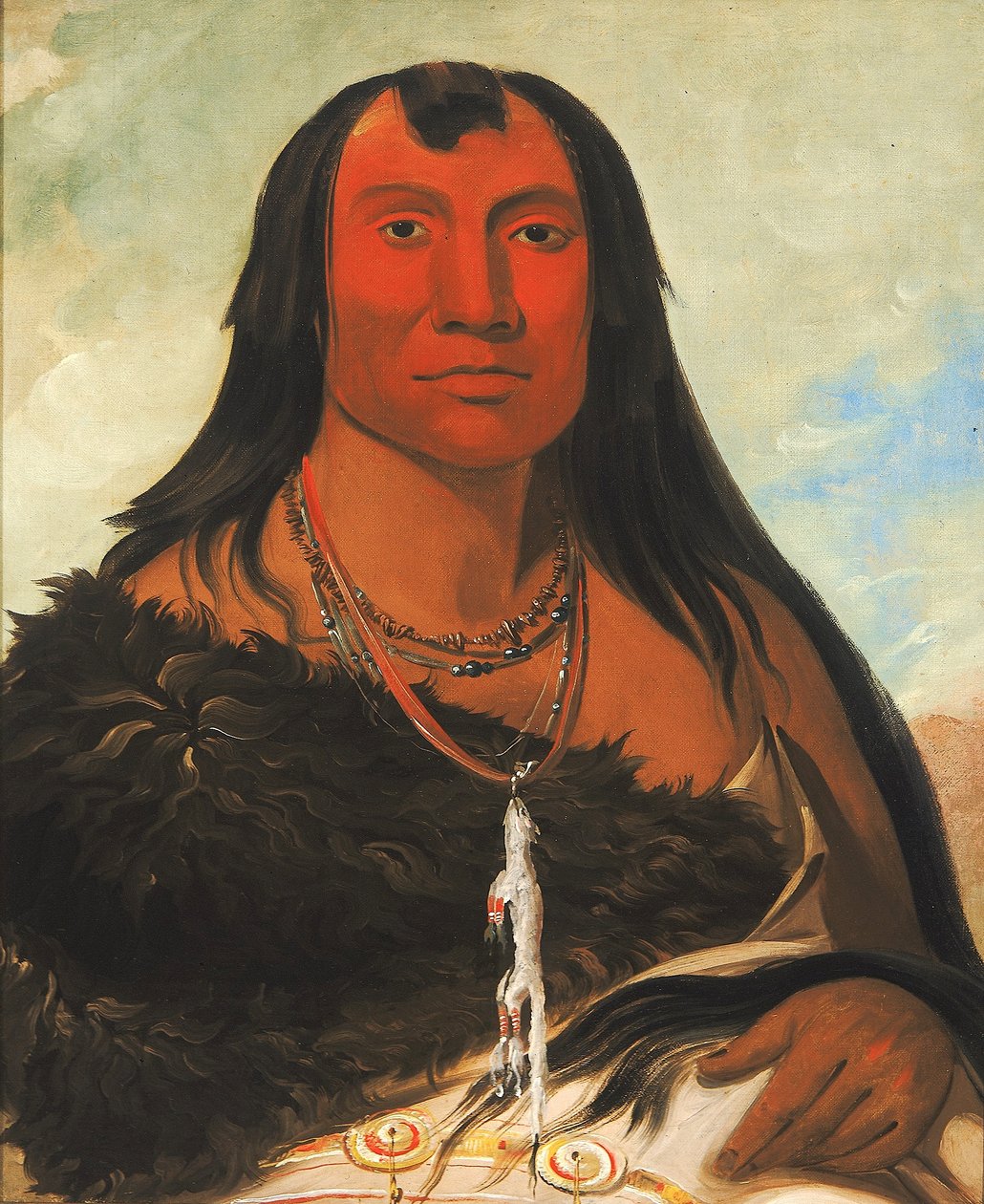 Cháh-ee-chópes, Quattro lupi, un capo in lutto da George Catlin